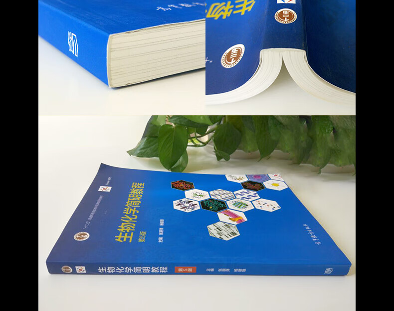 《【高教社】 生物化学简明教程张丽萍 第六版第6版 杨建雄 大学本科