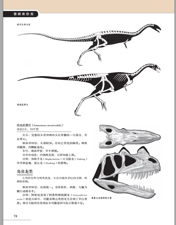 普林斯顿恐龙大图鉴第二版第2版世界著名恐龙艺术家极具权威的恐龙