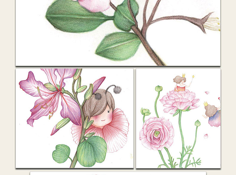 看视频 学画画 彩色铅笔花卉绘制入门教程 彩铅画教程书彩铅手绘书彩