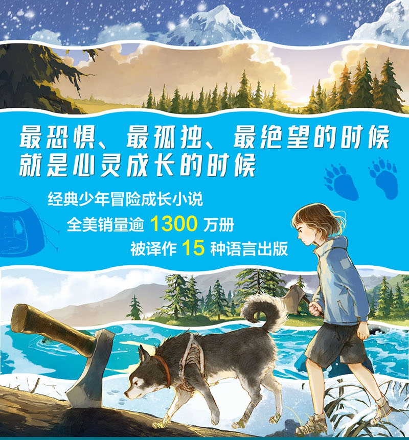 手斧男孩全6册盖瑞伯森手斧冰雪弓箭猎物与猎人鹿精灵冒险河勇气