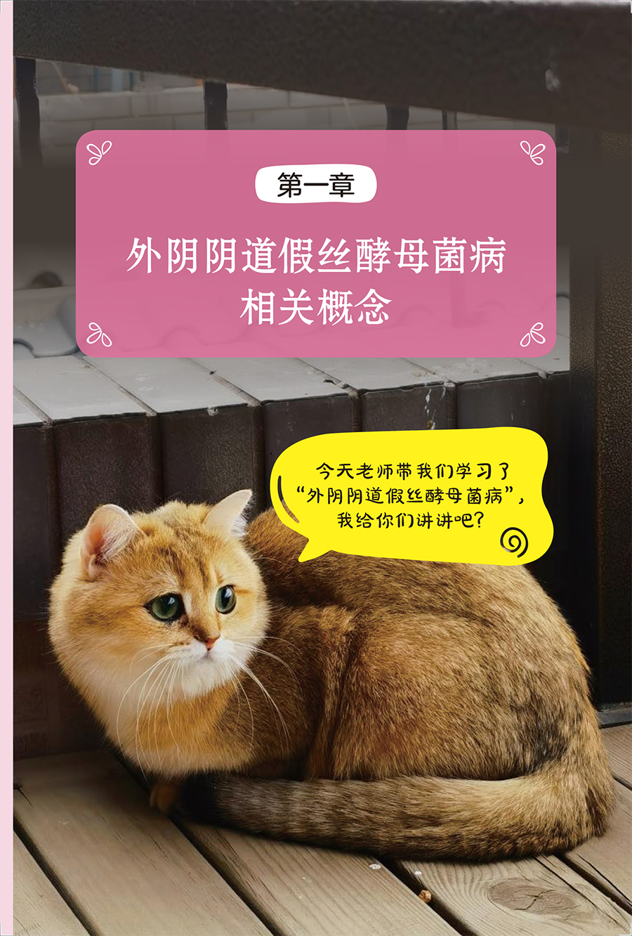 《远离妇科炎症 呵护女性健康 外阴阴道假丝酵母菌病100问 刘朝晖