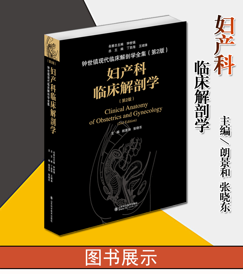 妇产科临床解剖学第2版钟世镇现代临床解剖学全集第二版丁自海郎景和