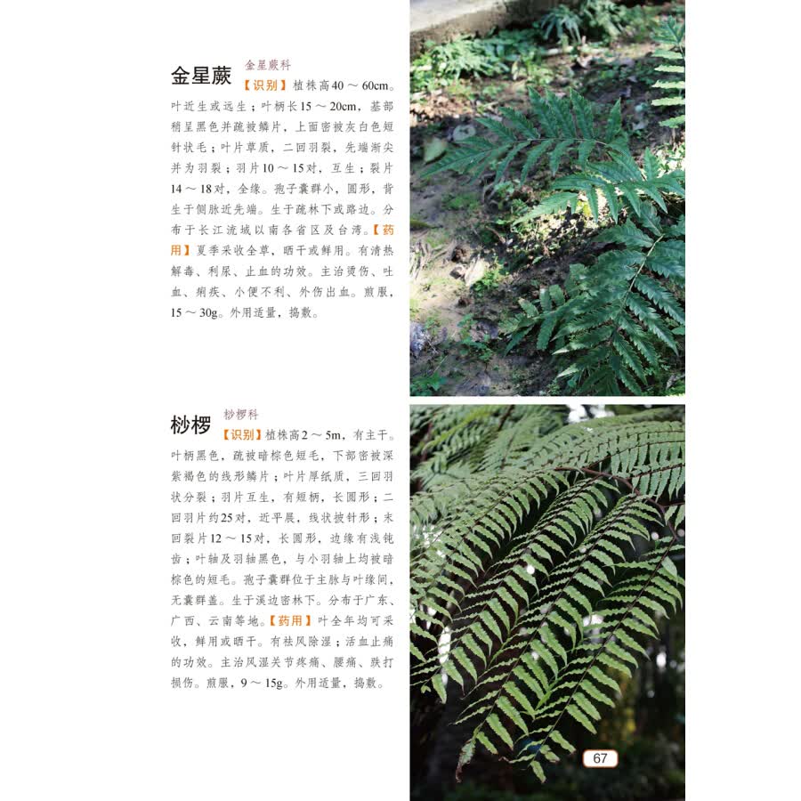 正版1500种中草药野外识别彩色图鉴岳桂华王柳萍药材采集功效主治用法