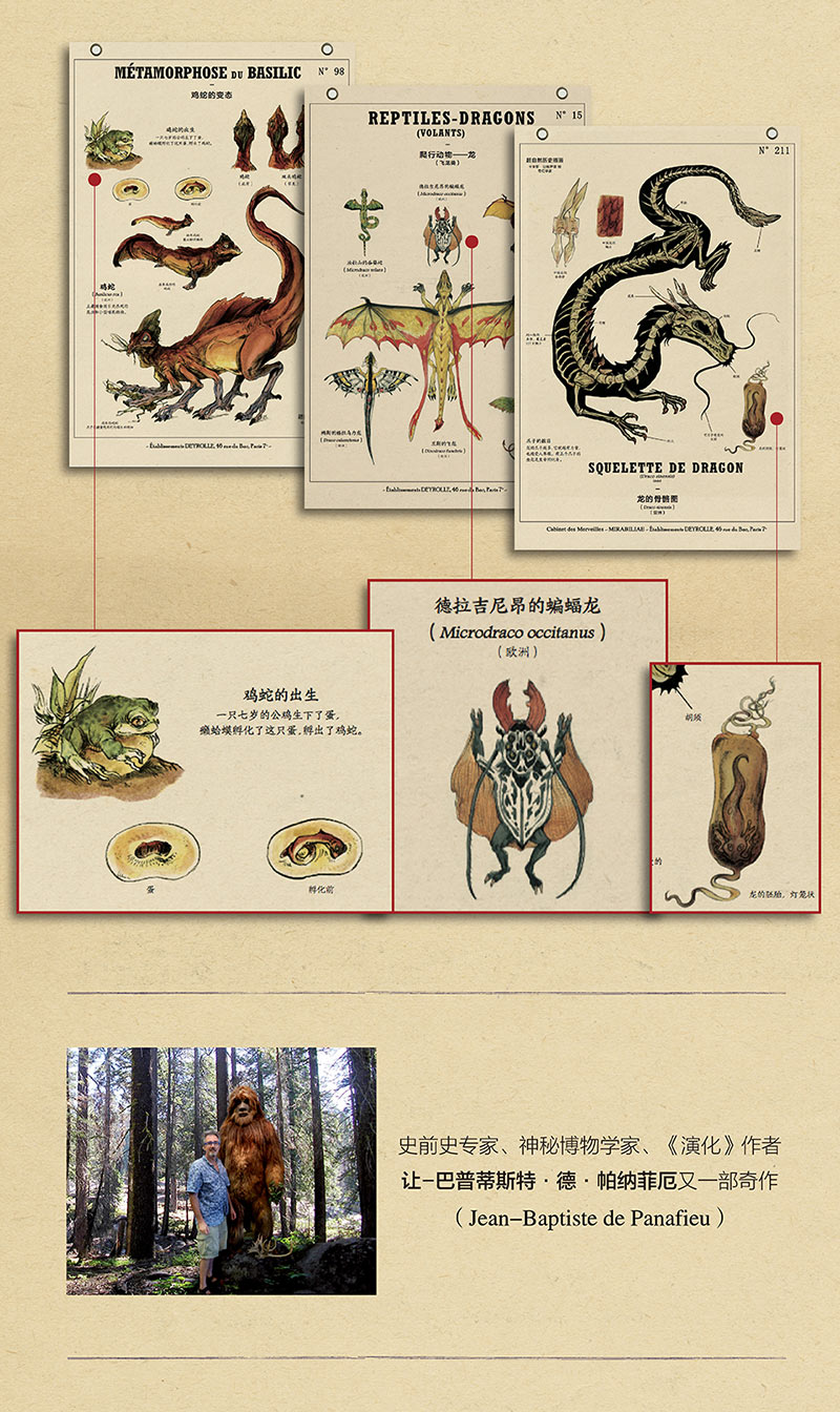 博物学家的神秘动物图鉴