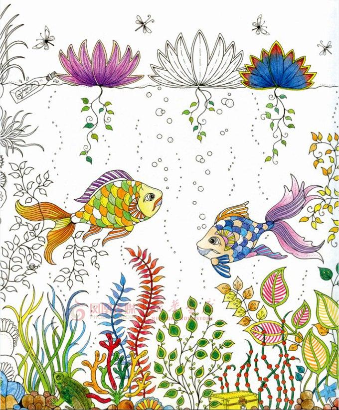 秘密花园-一本探索奇境的手绘涂色书