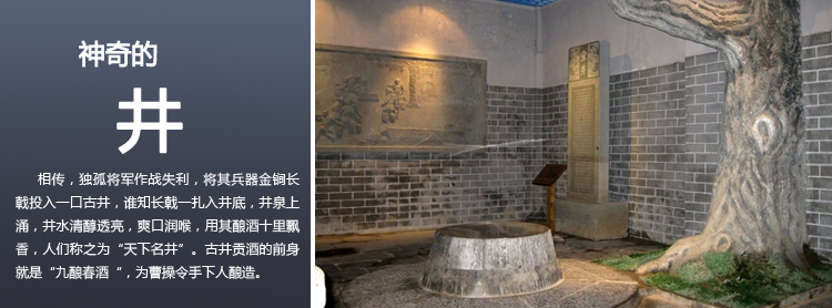 老酒精品银古井2006年45度450ml