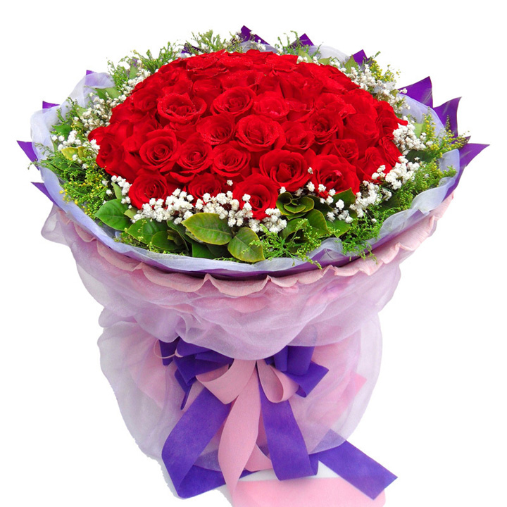 66枝玫瑰花束 鲜花速递 生日鲜花 66朵玫瑰鲜花 66枝香槟玫瑰