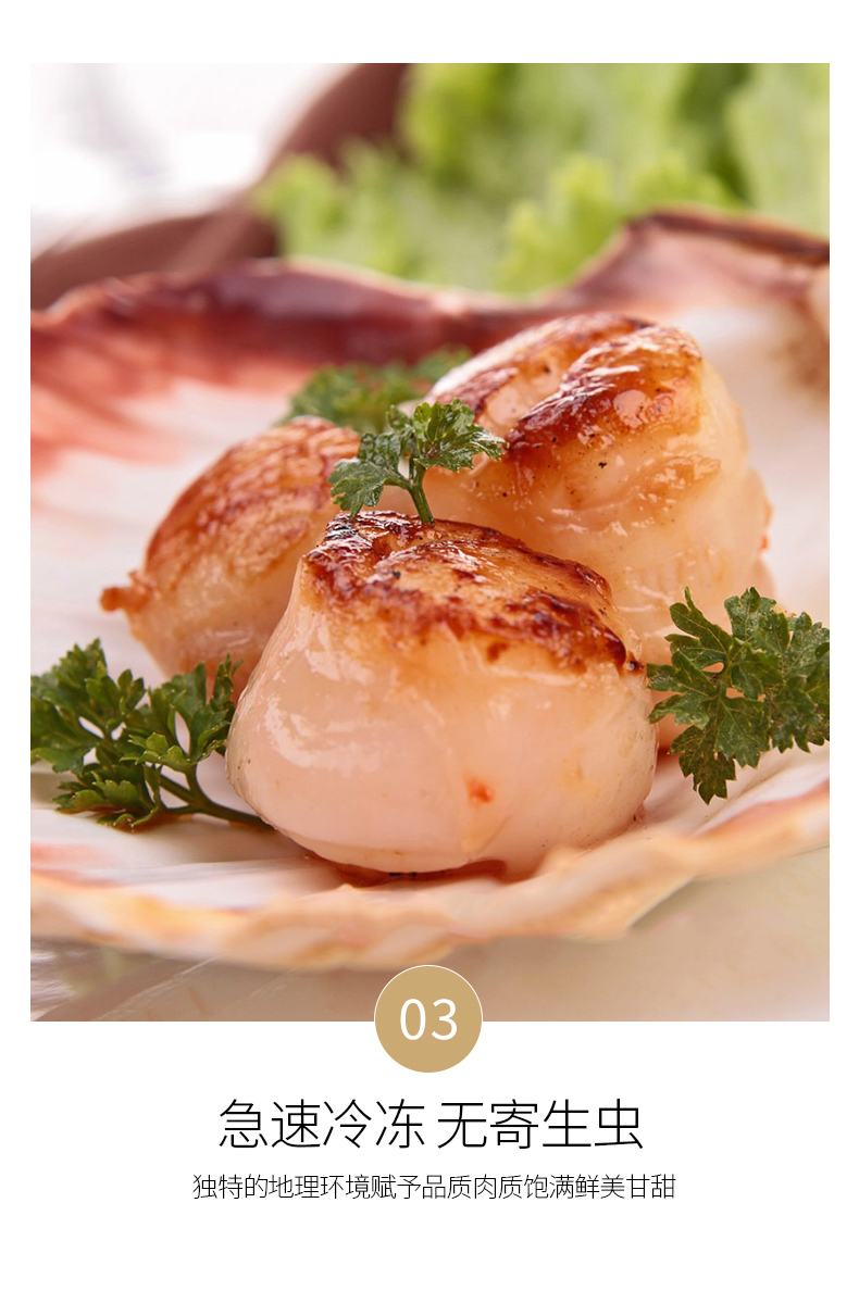 健康轻食澳牧德正宗日本进口刺身级鲜冻帆立贝柱宝宝食品日本特鲜带子