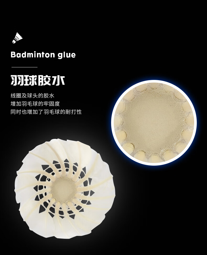 790_09.jpg