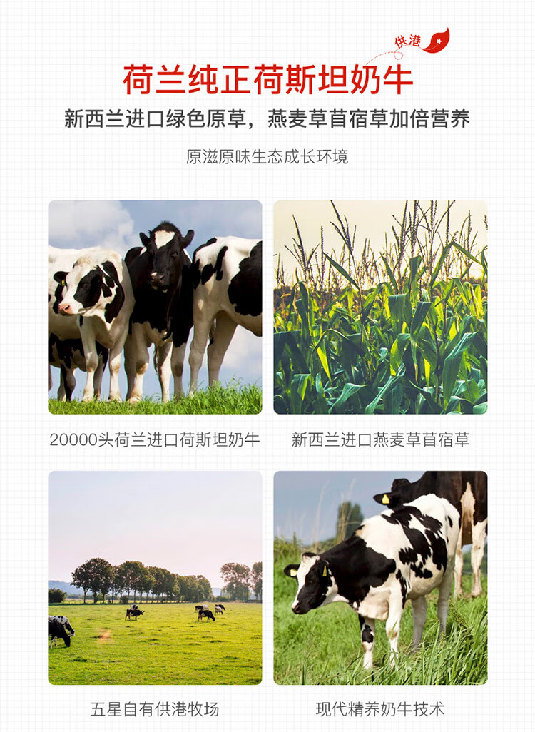 105998-晨光供港壹号纯牛奶250ml*12盒*2箱礼盒装早餐奶-详情图