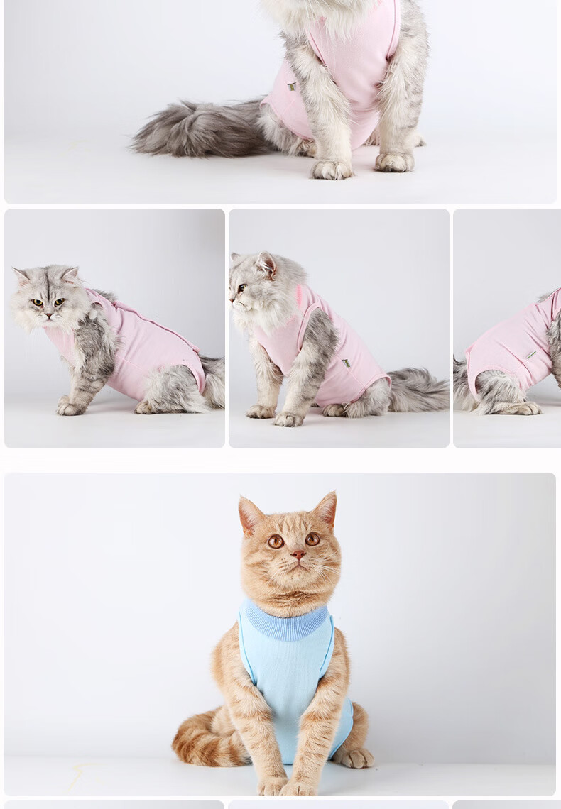 【京选推荐】猫咪手术服绝育服母猫手术衣宠物绝育衣服断奶服外套猫猫