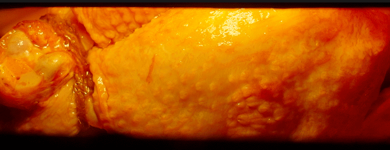 70628684fc1075ec.gif