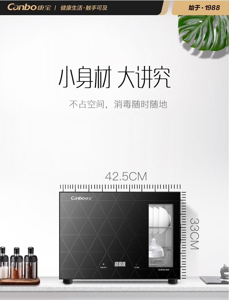 XDR30_06.jpg