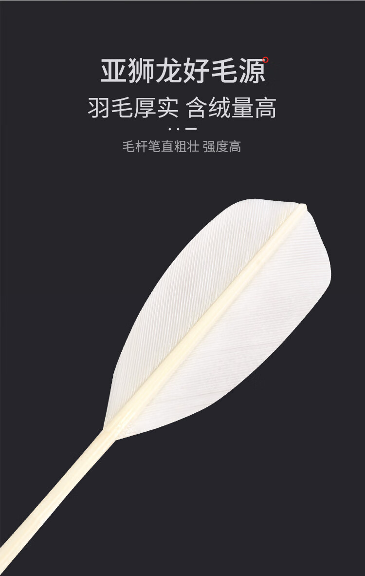 https://www.toonies.cn3-750_03.jpg