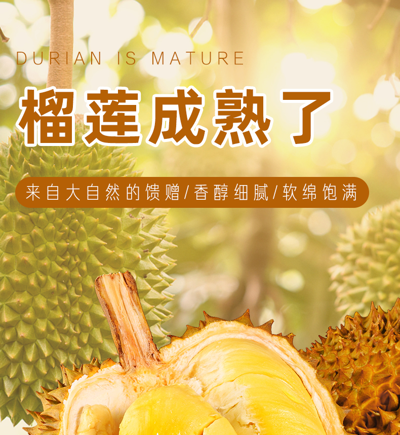 寻味君 泰国进口金枕头榴莲 生鲜榴莲 新鲜水果 【力荐装】5-6斤