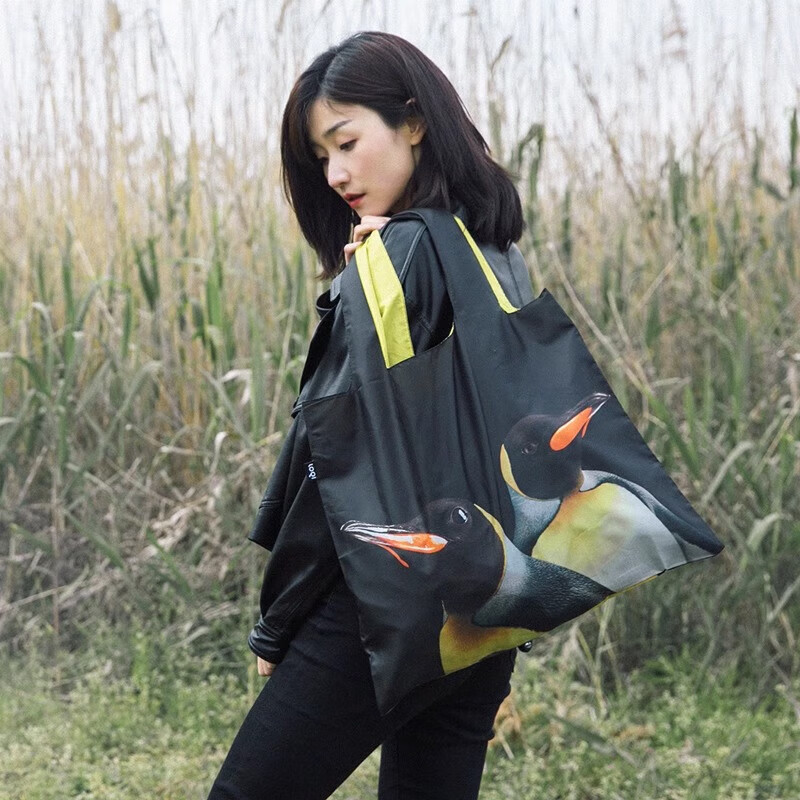 LOQI National Geographic Co-Branded Animal Pattern Lightweight Foldable Eco-Friendly Large Shopping Bag Shoulder Bag 50*42cm 13