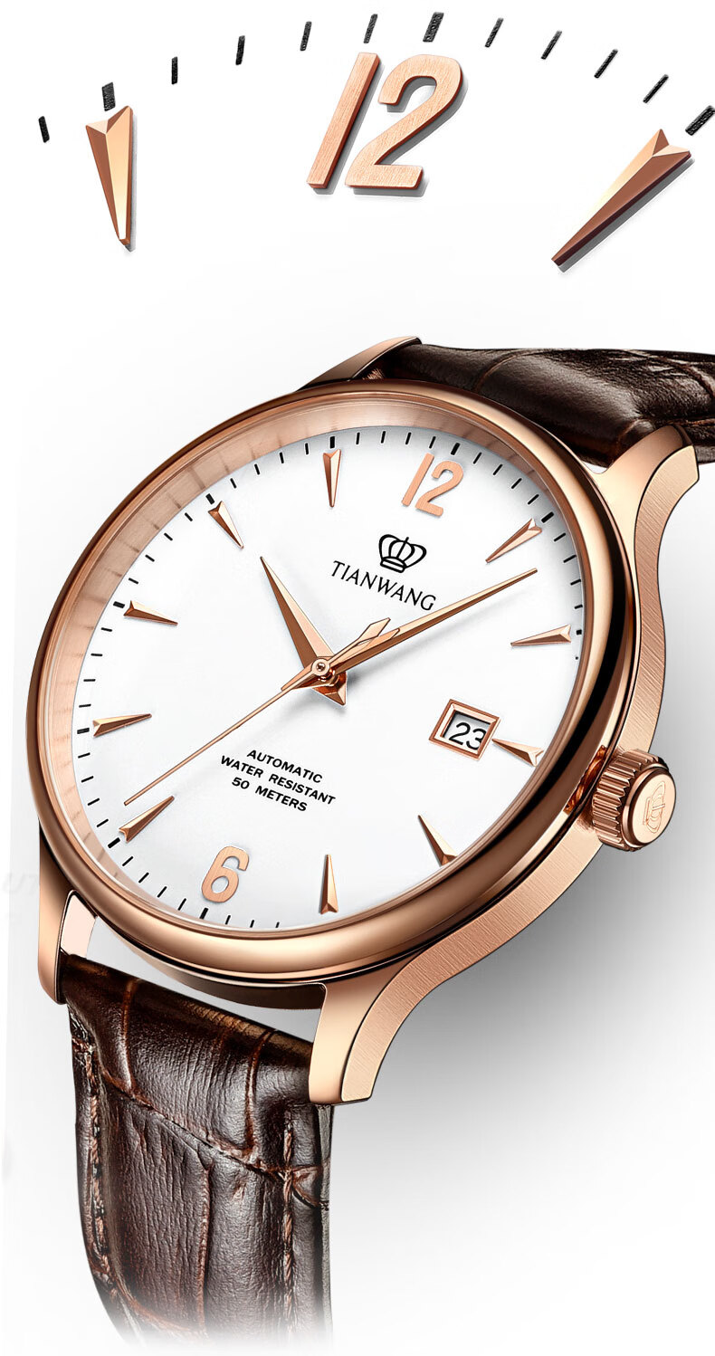 天王表tianwang情侣手表昆仑系列男女同款自动机械表时尚皮带品牌国表