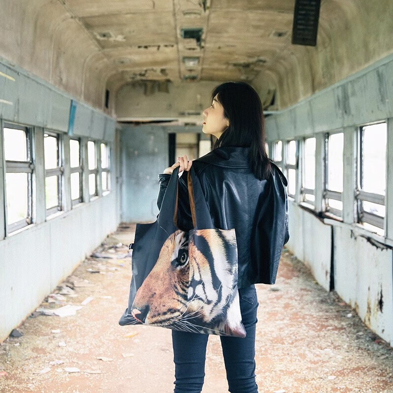 LOQI National Geographic Co-Branded Animal Pattern Lightweight Foldable Eco-Friendly Large Shopping Bag Shoulder Bag 50*42cm 6