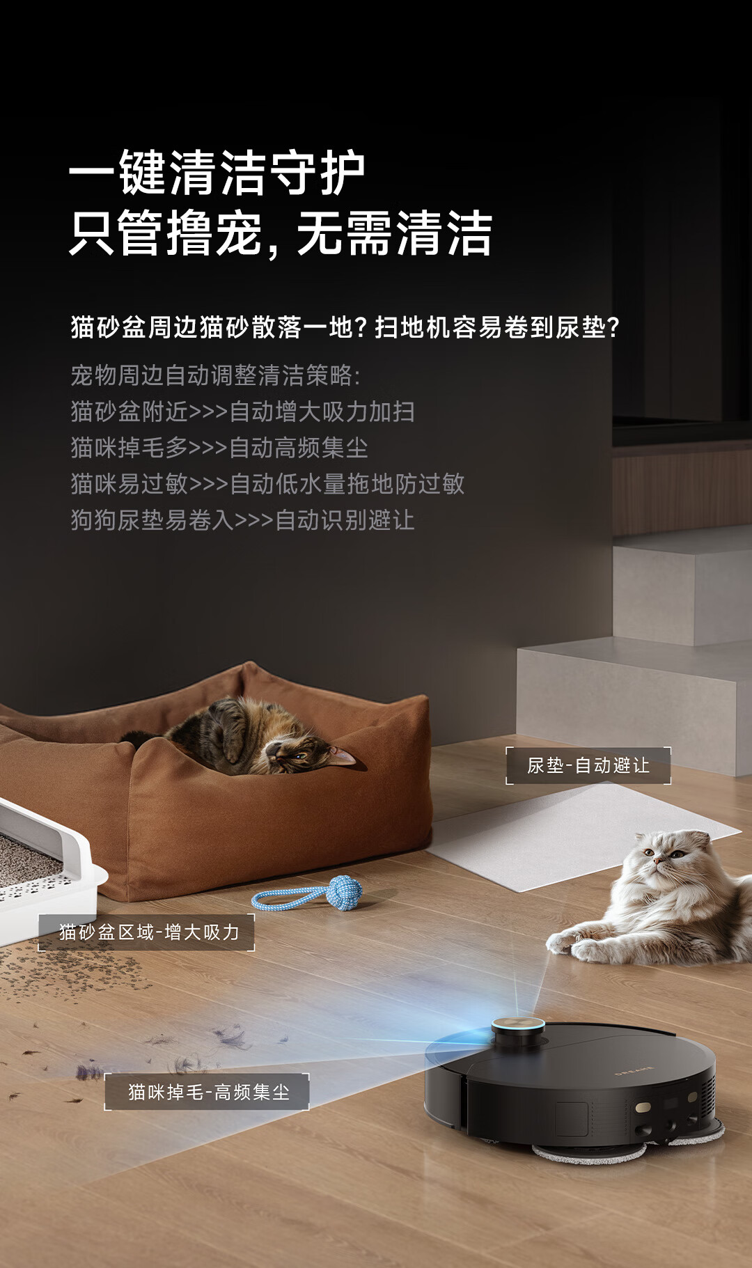 X50商详39.jpg