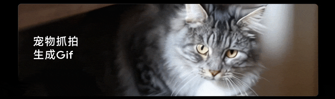 X50商详37.gif
