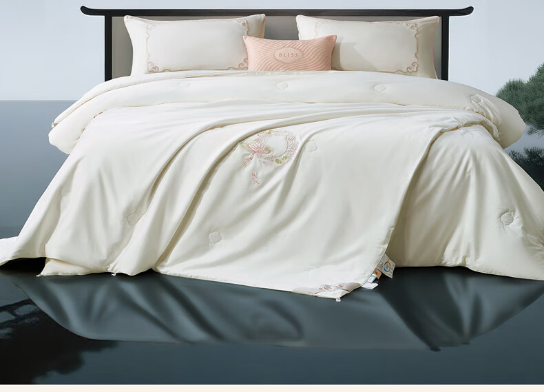Bellees Home Textile 100% Mulberry Silk Quilt Double-layer 60S Cotton Class A Antibacterial 2-in-1 Quilt 150x210cm 3