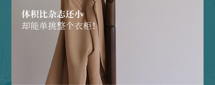飞利浦巧熨烫机STE0960_06.gif