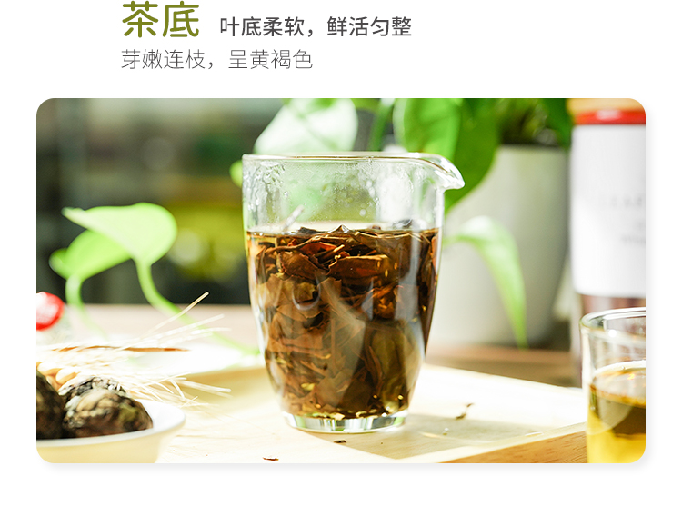 神价 知乎好评 叶铺 福鼎白茶 80g 图5