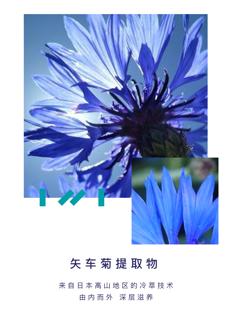2019-去屑洗护套装-500ml_07.jpg