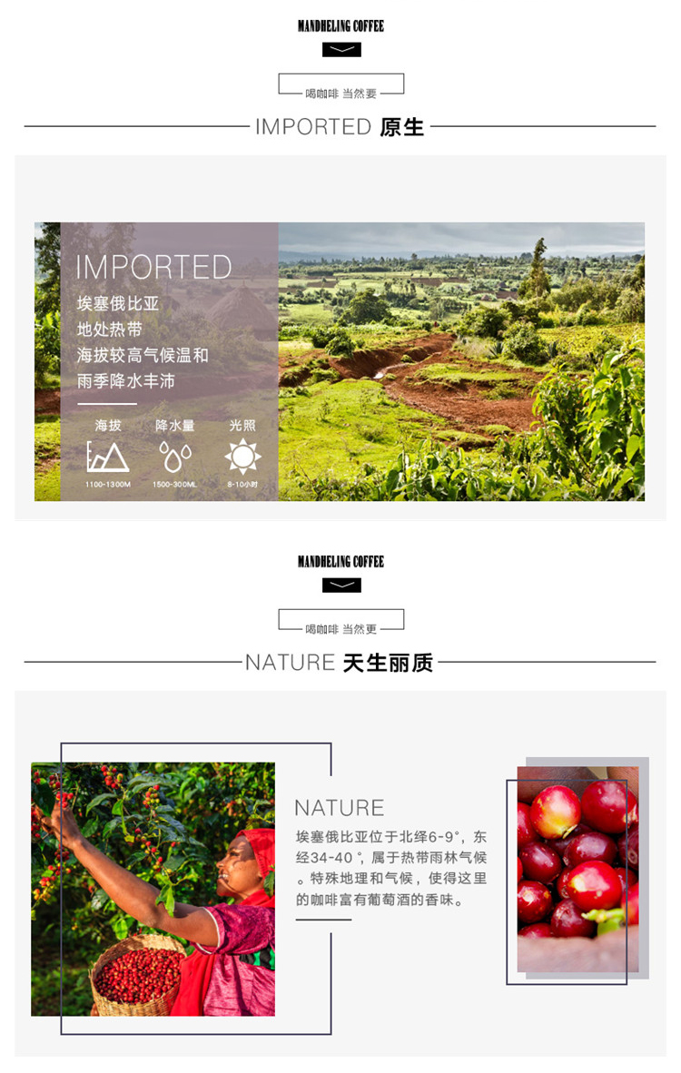 博达摩卡咖啡豆227克_02.jpg