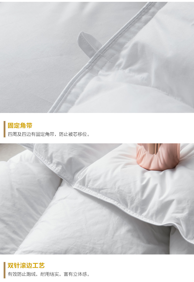 未标题-1_11.jpg
