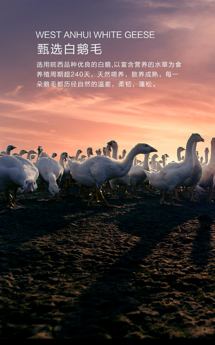 白白白白_05.jpg