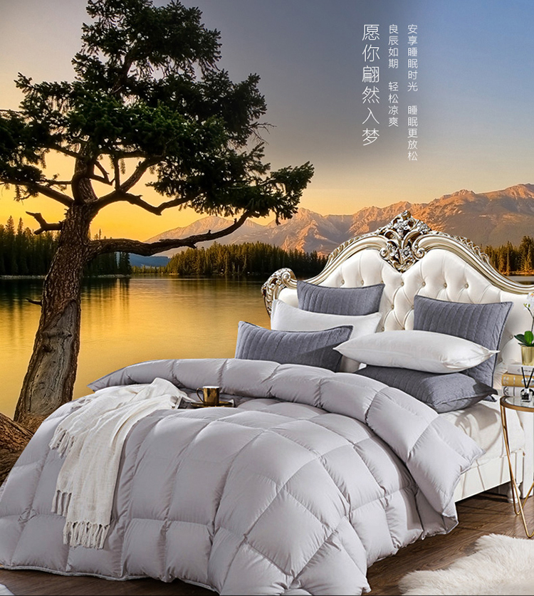 鸿润家纺 羽绒被芯 95%白鹅绒被 柔赛丝面料 加厚冬被保暖被子 双人
