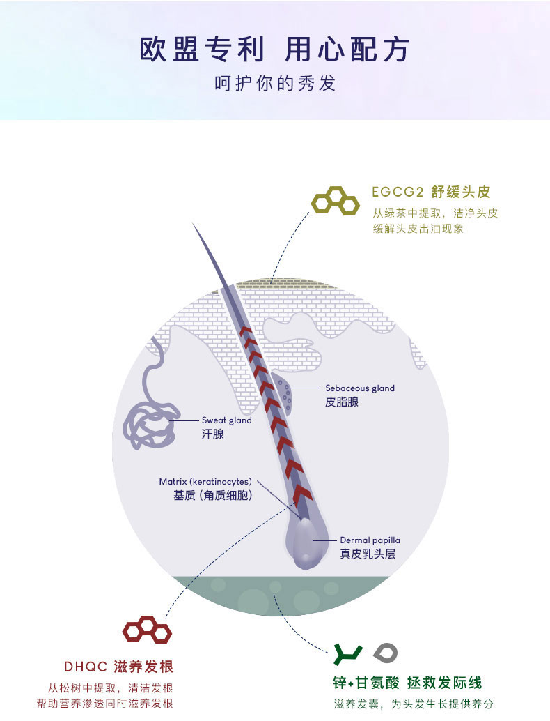 2019-5-20-强韧养发护发素描述790pxl_15.jpg