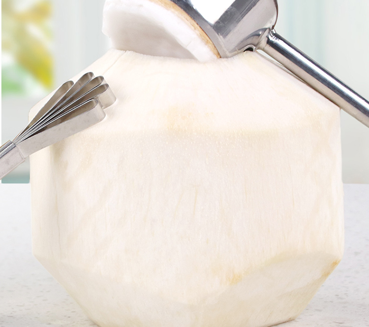 BJ Stainless Steel Apple Core Remover, Fruit Cutting Tool, Pear Core Extractor, Hole Puncher 7