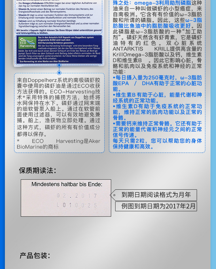 南极磷虾_12.jpg