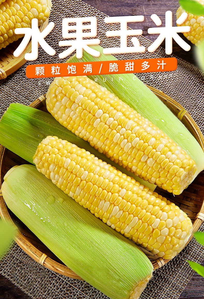 云南金银水果玉米黄白玉米玉米生鲜玉米脆甜爆浆生熟两吃火锅食材9斤