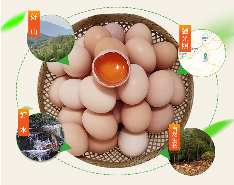 丑禾 农家土鸡蛋 40枚 图2
