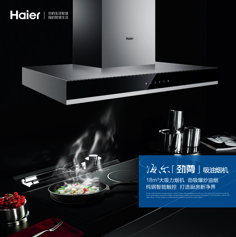 
                                                            海尔（Haier）大吸力 18立方米瞬吸 不锈钢机体 一级能效 触控欧式抽油烟机CXW-200-E900T6A                