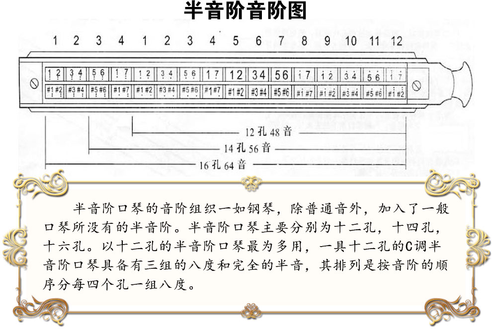 半音阶口琴选购指南图片