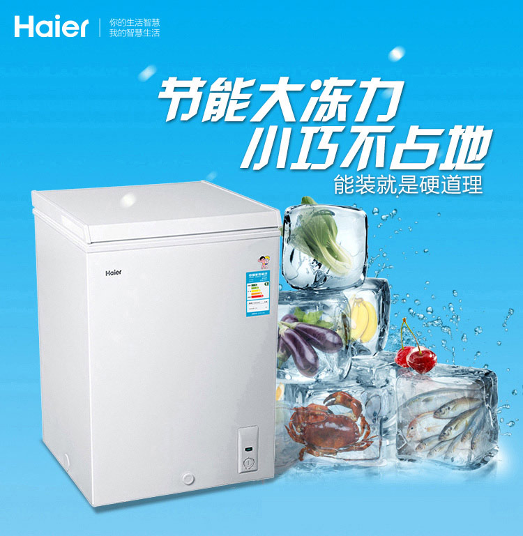 
                                                            海尔（Haier） 102升家用冷藏冷冻转换冰柜 节能单温母乳冷柜小冰箱 BC/BD-102HT                