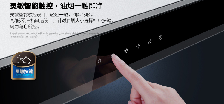 
                                                            海尔（Haier）大吸力 18立方米瞬吸 不锈钢机体 一级能效 触控欧式抽油烟机CXW-200-E900T6A                