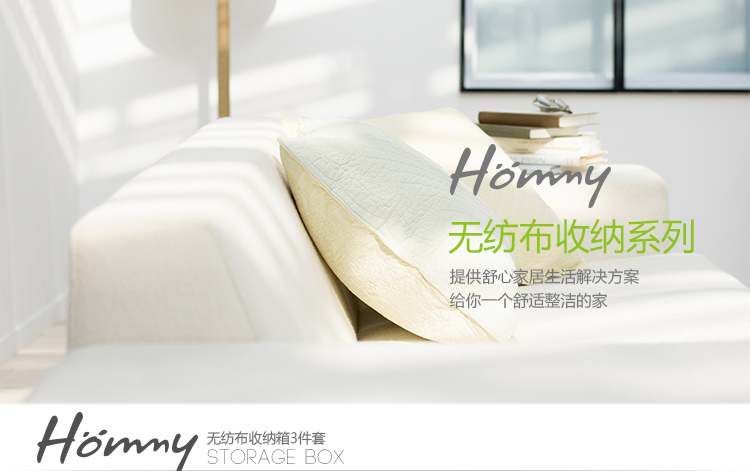 
                                        【京东超市】Hommy 收纳无纺布收纳盒3件套(2大1衣袜格)                