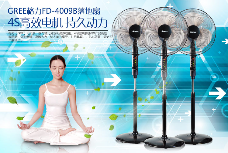 格力（GREE）FD-4009B 遥控落地扇/电风扇