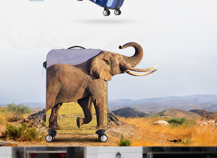 【宾豪拉杆箱】宾豪binhao 拉杆箱 轻盈大容量行李箱 静音万向轮休闲