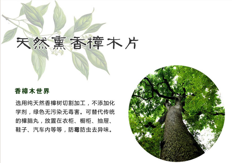 丽姿 天然香樟木片10只装 5*3*1CM