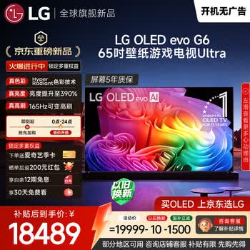 LG电视G6系列 65英寸OLED壁纸电视 超薄无缝贴壁4K超清 165Hz高刷游戏电视 OLED65G6PCA