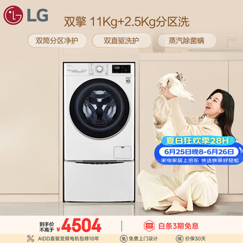 LG双擎 11+2.5KG多筒懒人分区洗衣机全自动 家用大容量 母婴内衣洗 蒸汽除菌 FY13WYW