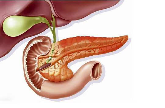 中医能治疗胆囊息肉吗 内分泌