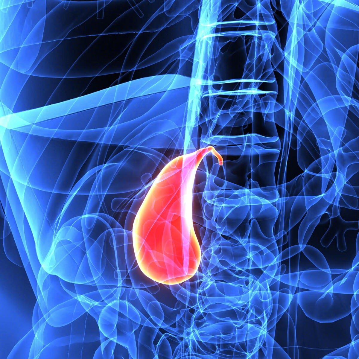 胆囊炎总在夜里作妖 该如何预防呢 外科