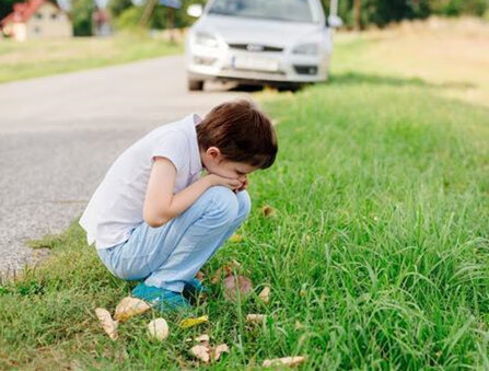 一坐车就晕车到底该怎么办 不妨试试这8招 生活 肠道